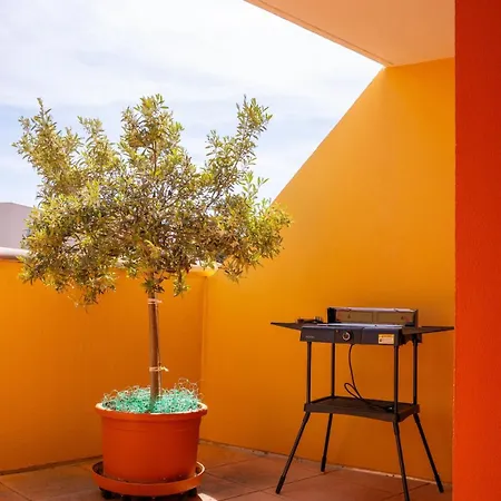Lägenhet Spacieux T3 Avec Terrasse Et Parking A Sanary-sur-Mer